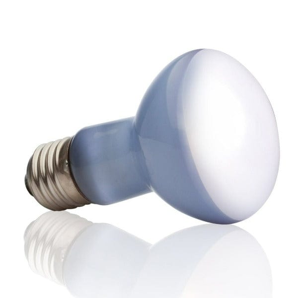 Exo Terra Exo Terra Daylight Basking Spot Lamp
