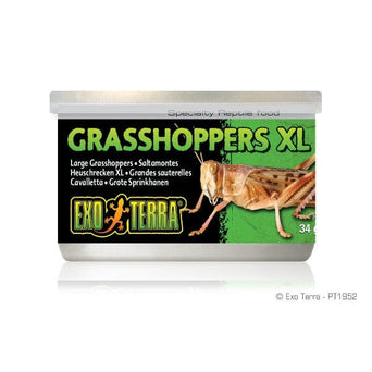 Exo Terra Exo Terra Grasshoppers Canned Specialty Reptile Food