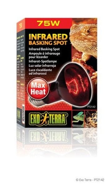 Exo Terra Exo Terra Infrared Basking Spot