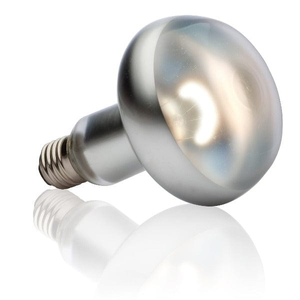 Exo Terra Exo Terra Intense Basking Spot Lamp