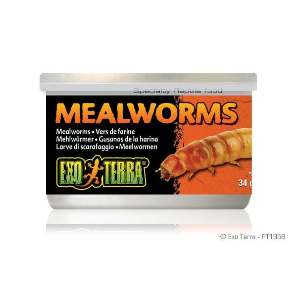 Exo Terra Exo Terra Mealworms Canned Specialty Reptile Food