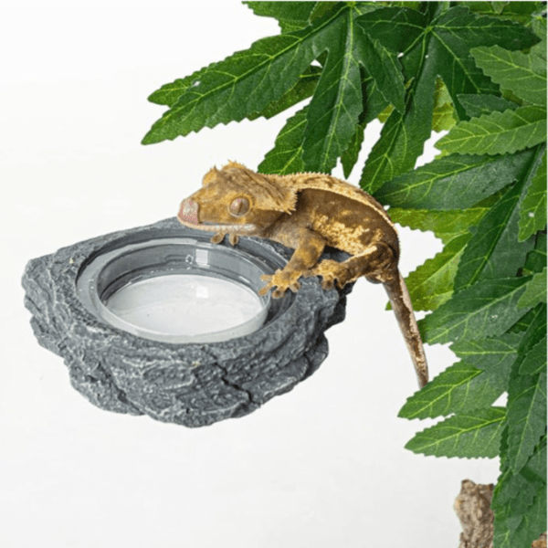 Exo Terra Reptizoo Reptile Magnetic Ledge Feeder