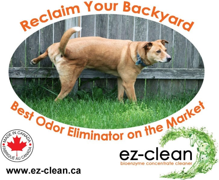Ez-Clean Bioenzyme Cleaner – Petland Canada