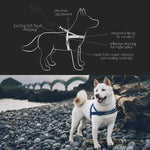 EZYDOG EzyDog Quick Fit Dog Harness