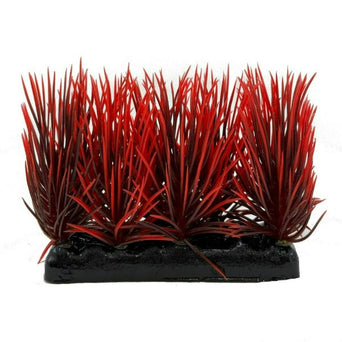 Fish Gear Fish Gear Foreground Red & Black Hairgrass Aquarium Plant