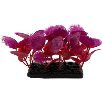 Fish Gear Fish Gear Foreground Red Palm Aquarium Plant