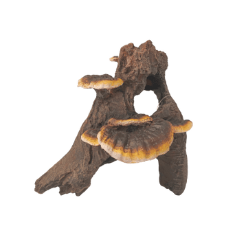 Fish Gear Root Cluster with Mushrooms Aquarium Ornament