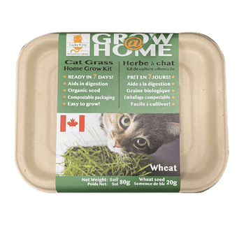 Fog Farms Lucky Kitty Grow @ Home Cat Grass Home Grow Kit; Wheat