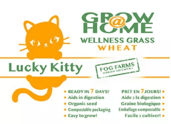 Fog Farms Lucky Kitty Grow @ Home Cat Grass Home Grow Kit; Wheat Refill Pack