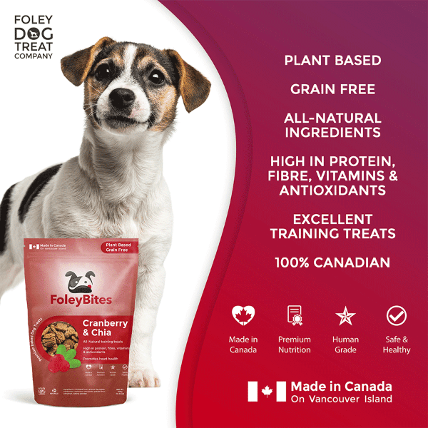 Foley Dog Treat Company Foley Bites Cranberry & Chia Premium Baked Dog Treats