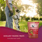 Foley Dog Treat Company Foley Bites Cranberry & Chia Premium Baked Dog Treats