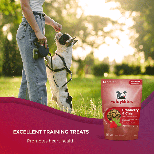 Foley Dog Treat Company Foley Bites Cranberry & Chia Premium Baked Dog Treats