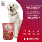 Foley Dog Treat Company Foley Bites Cranberry & Chia Premium Baked Dog Treats