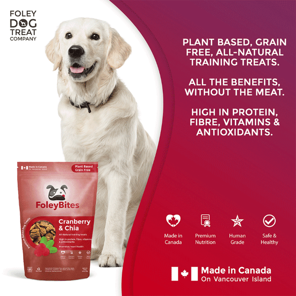 Foley Dog Treat Company Foley Bites Cranberry & Chia Premium Baked Dog Treats