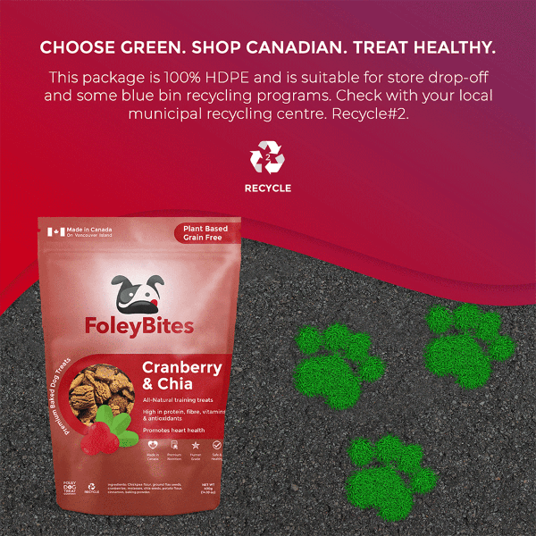 Foley Dog Treat Company Foley Bites Cranberry & Chia Premium Baked Dog Treats