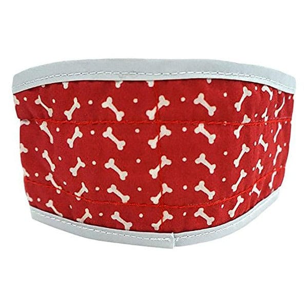 Cool dog on sale collar brands
