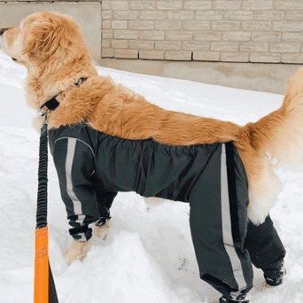 Edmonton Oilers Small Medium Dog Hoodie Pet Apparel Playoffs 