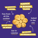 Fruitables Fruitables Baked Pumpkin & Banana Dog Treats