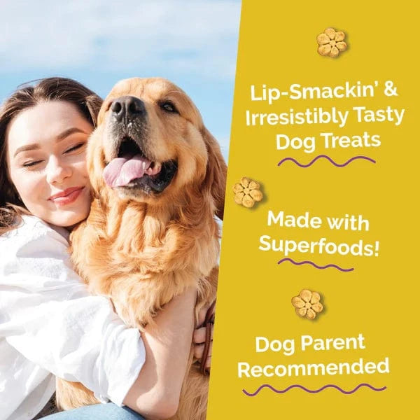 Fruitables Fruitables Baked Pumpkin & Banana Dog Treats