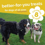 Fruitables Fruitables Baked Pumpkin & Banana Dog Treats