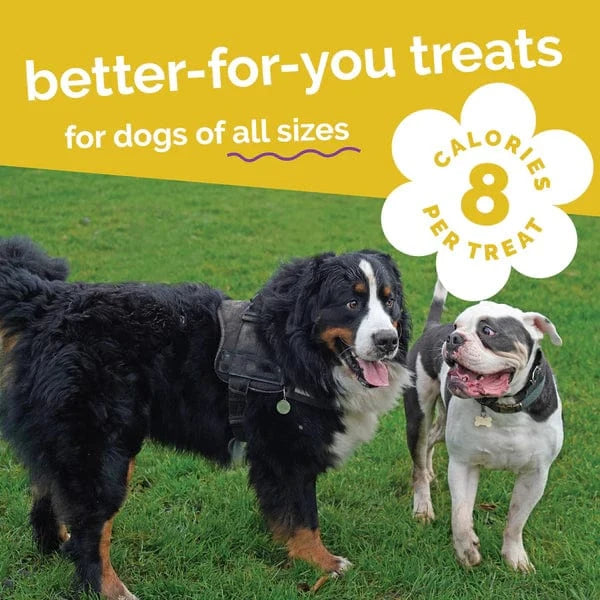 Fruitables Fruitables Baked Pumpkin & Banana Dog Treats