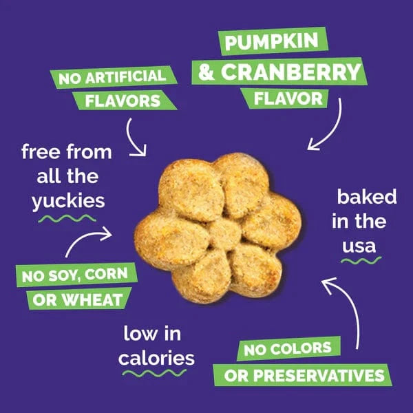 Fruitables Fruitables Baked Pumpkin & Cranberry Dog Treats