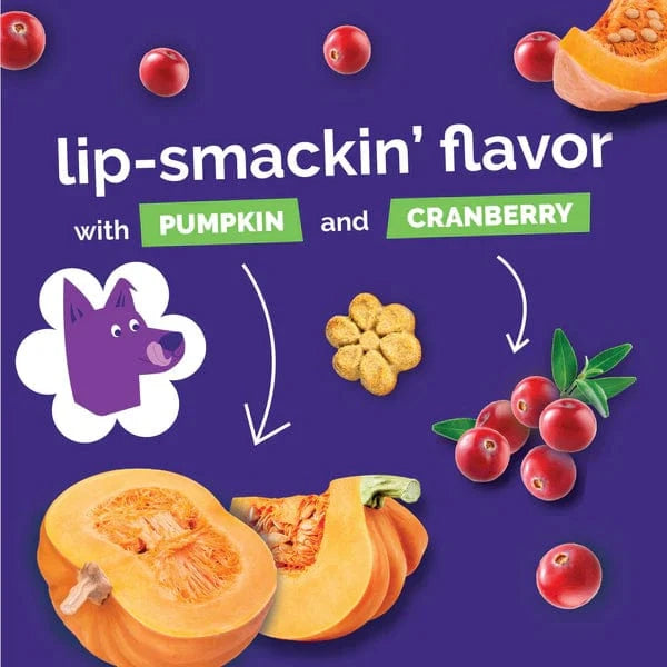 Fruitables Fruitables Baked Pumpkin & Cranberry Dog Treats