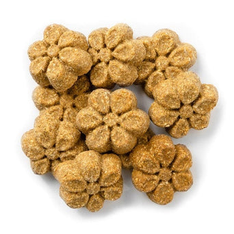 Fruitables Fruitables Sweet Potato & Pecan Baked Dog Treats