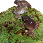 Galápagos Galápagos Pillow Moss