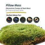 Galápagos Galápagos Pillow Moss