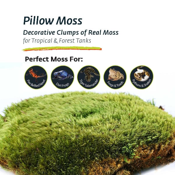 Galápagos Galápagos Pillow Moss