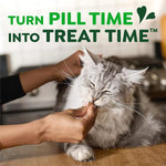 Greenies Feline Greenies Salmon Flavour Pill Pockets