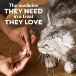 Greenies Feline Greenies Salmon Flavour Pill Pockets