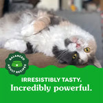 Greenies Feline Greenies Savory Salmon Flavour Dental Treats
