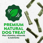 Greenies Greenies Fresh Teenie Adult Dog Dental Treats, 12oz