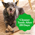 Greenies Greenies Fresh Teenie Adult Dog Dental Treats, 12oz