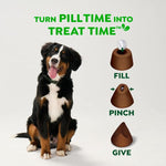 Greenies Greenies Pill Pockets Hickory Smoke Flavour Dog Treats