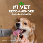 Greenies Greenies Pill Pockets Hickory Smoke Flavour Dog Treats