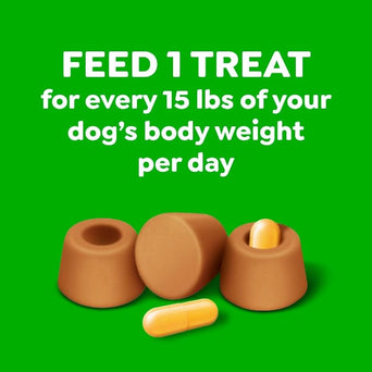 Greenies Greenies Pill Pockets Peanut Butter Dog Treats