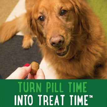 Greenies Greenies Pill Pockets Peanut Butter Dog Treats