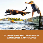 Grizzly Pet Products Grizzly Hip & Joint Supplement For Dogs & Cats