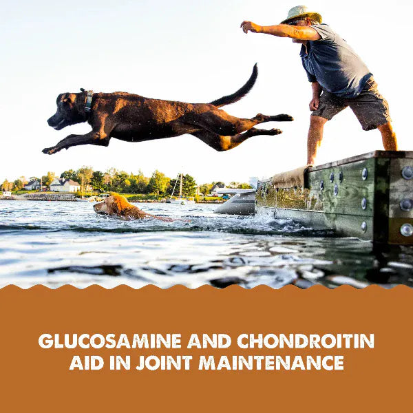 Grizzly Pet Products Grizzly Hip & Joint Supplement For Dogs & Cats