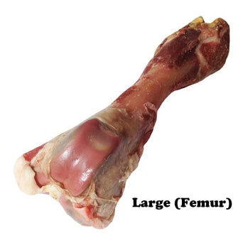 Hagen Dogit Charcuterie Prosciutto Bone for Dogs