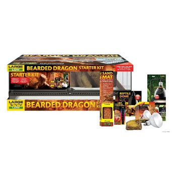 Hagen Exo Terra Bearded Dragon Starter Kit