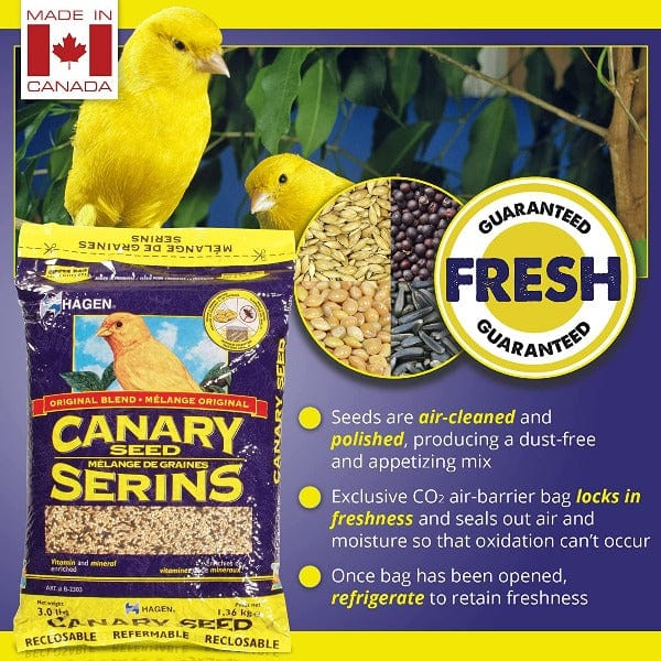 Hagen Hagen Canary Staple VME Seed