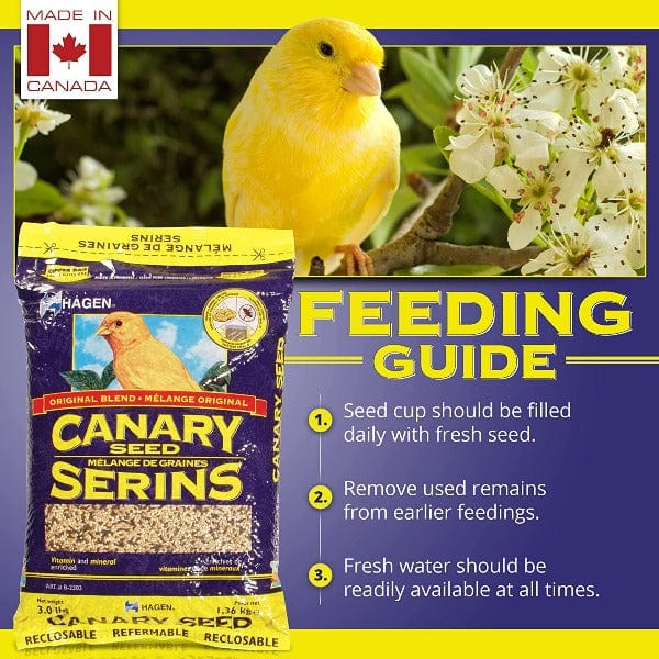 Hagen Hagen Canary Staple VME Seed