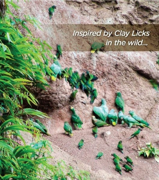 Hagen Hari Clay-Cal for Birds