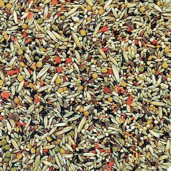 Hagen HARI Gourmet Premium Seed Mix for Canaries