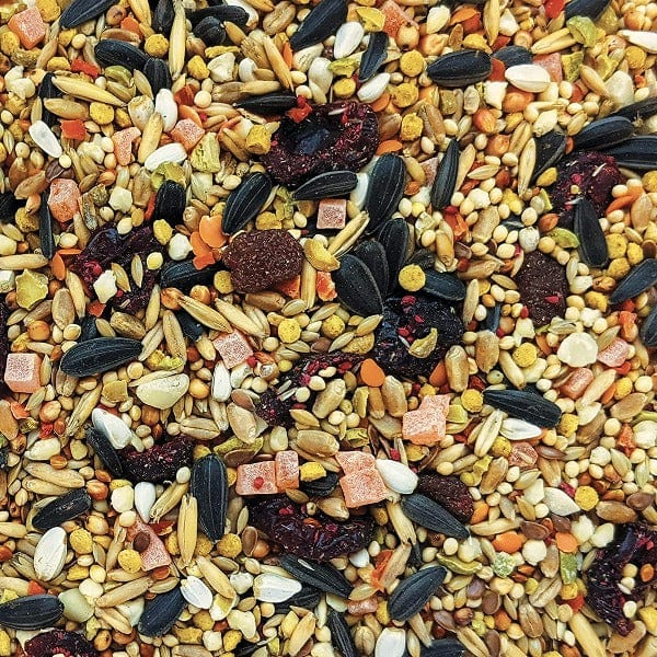 Hagen HARI Gourmet Premium Seed Mix For Cockatiels