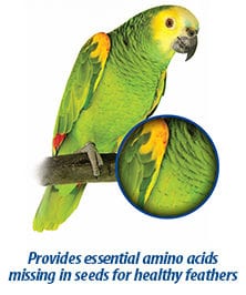 Hagen Hari Prime Vitamin Mineral Amino Acid Supplement for Birds